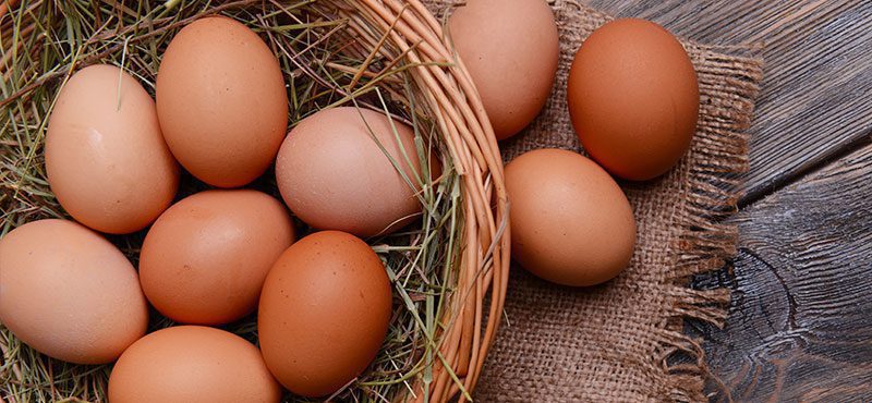 Zdravé a domáce BIO vajcia